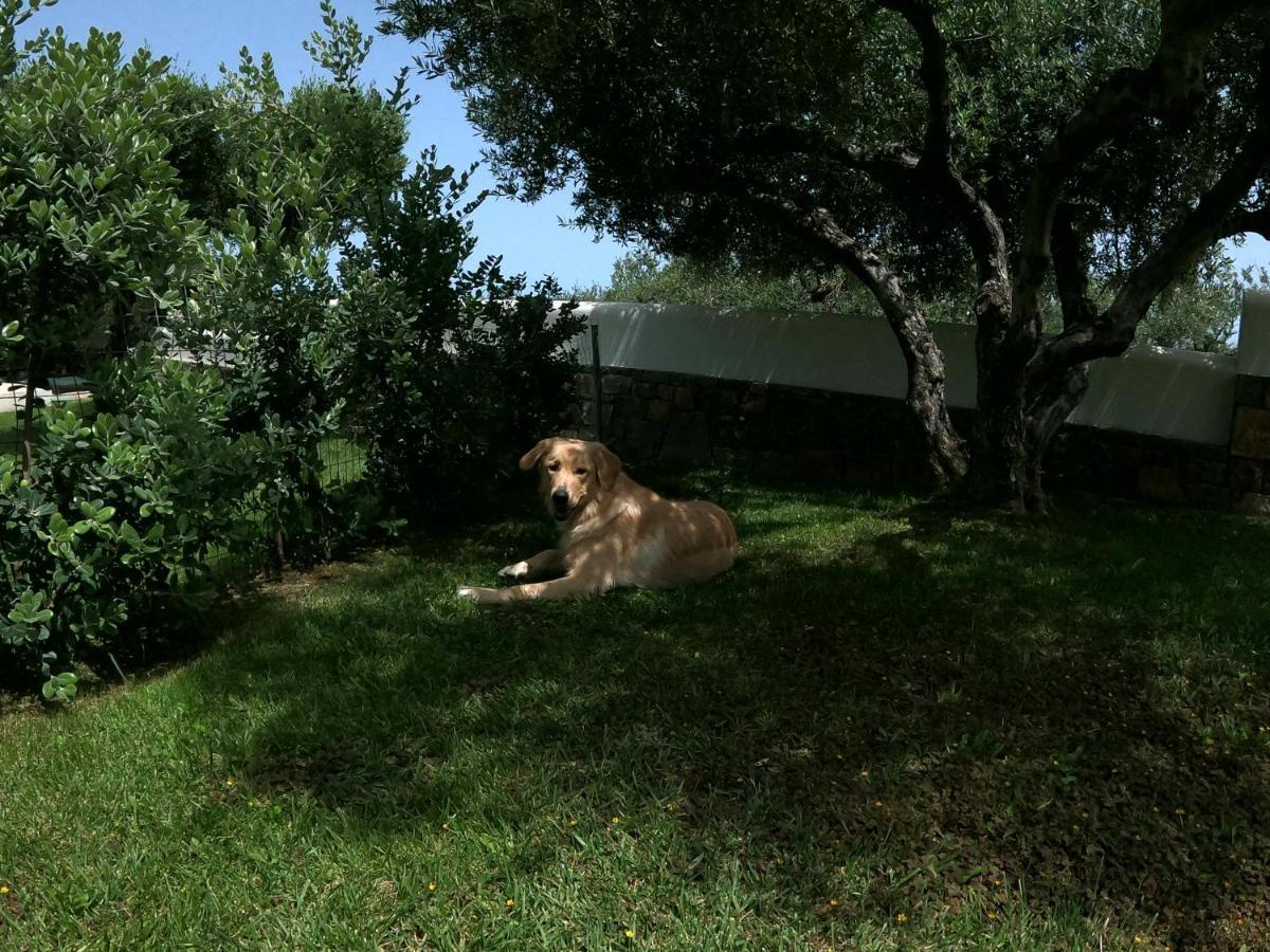 Nefeli Villas Hersonissos  Esterno foto